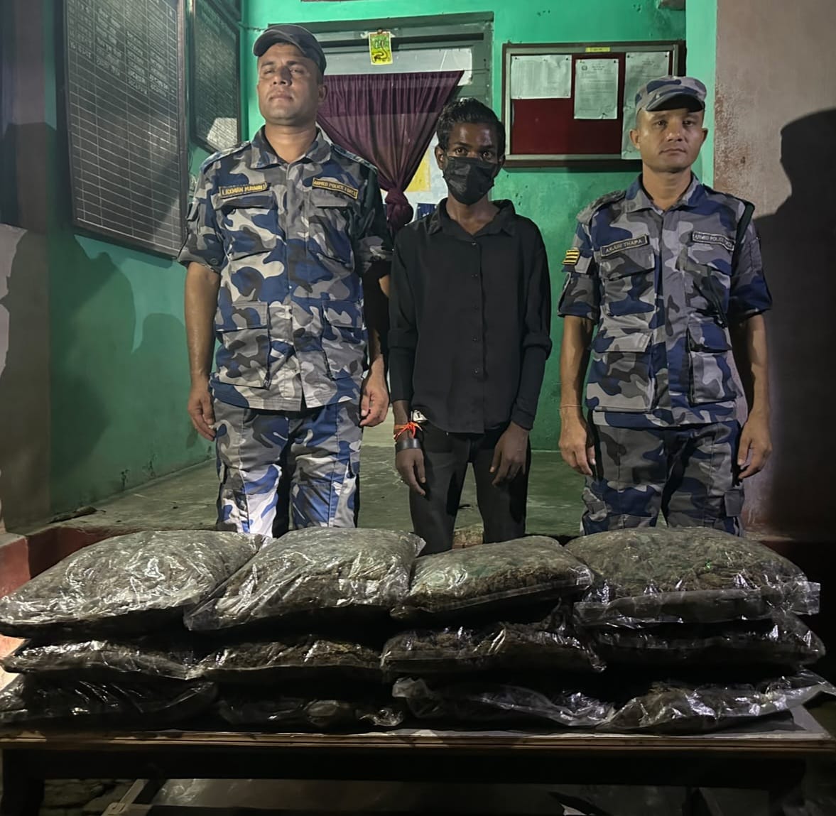 लहानमा १२ किलो गाँजासहित युवक पक्राउ