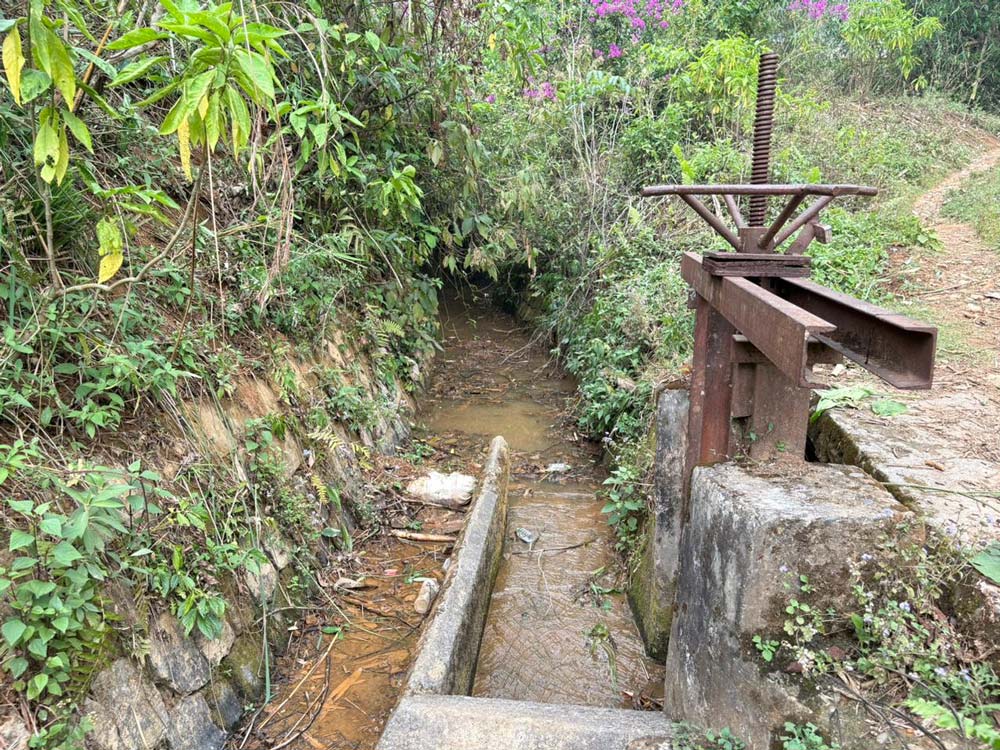 नहर जीर्ण हुँदा किसान चिन्तित